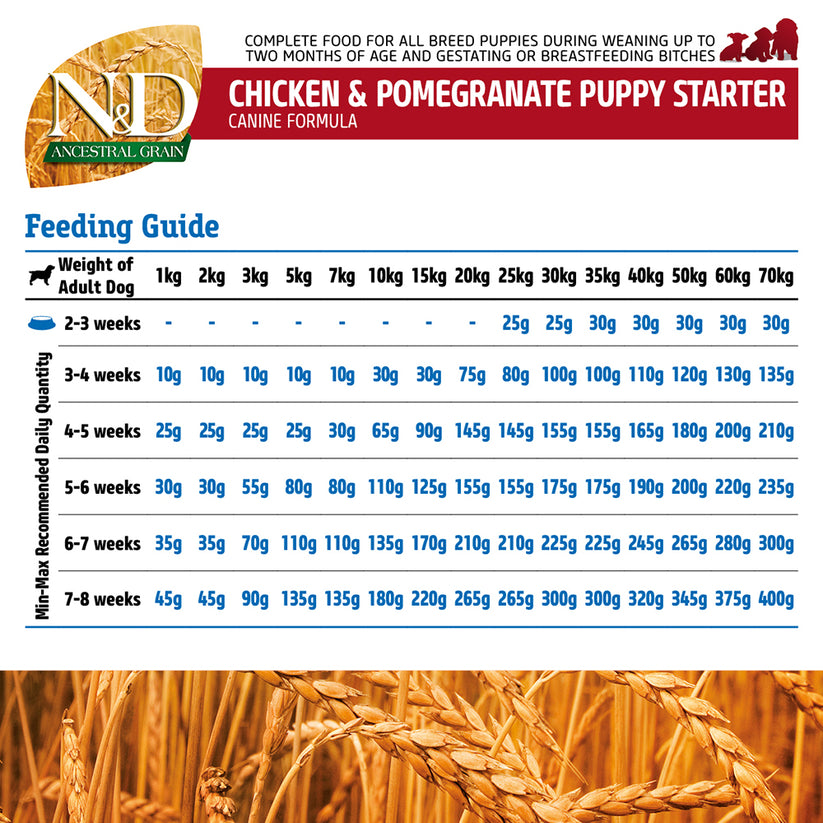 ND-Ancestral-Grain-2.5kg-Puppy-starter-CHICKEN-_-SPELT-6.jpg