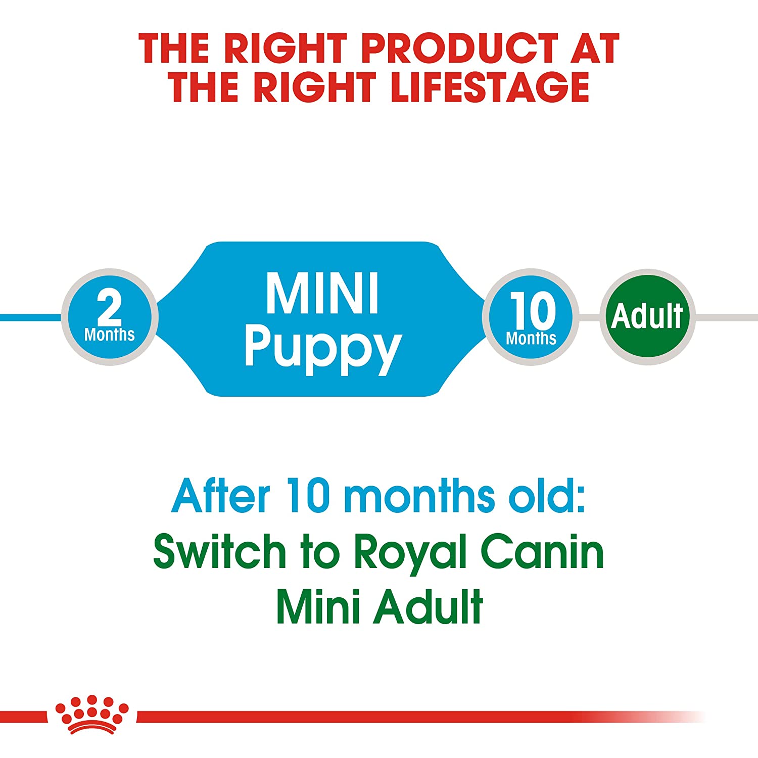 Royal-Canin-Mini-Puppy-3.jpg