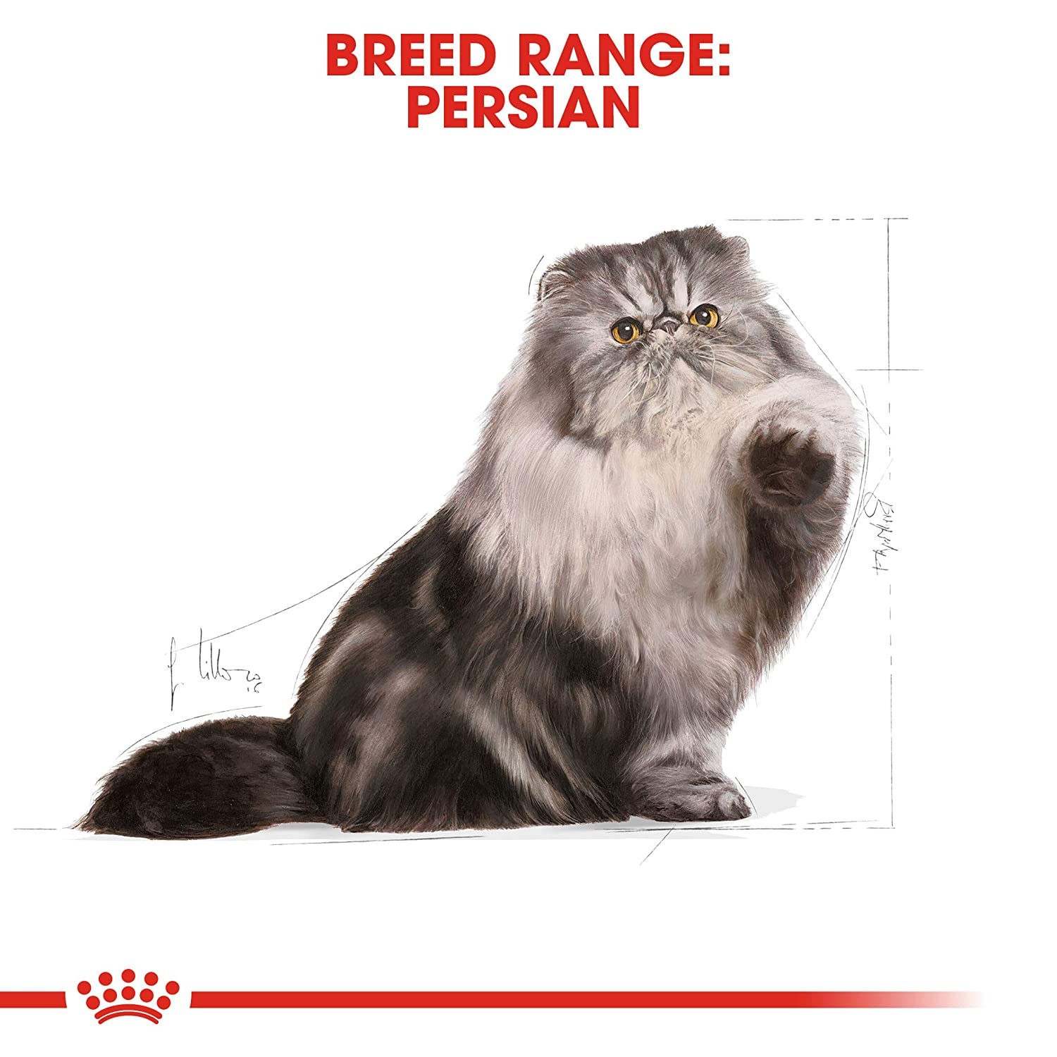 Royal-Canin-Persian-Adult-Dry-Cat-Food-8.jpg