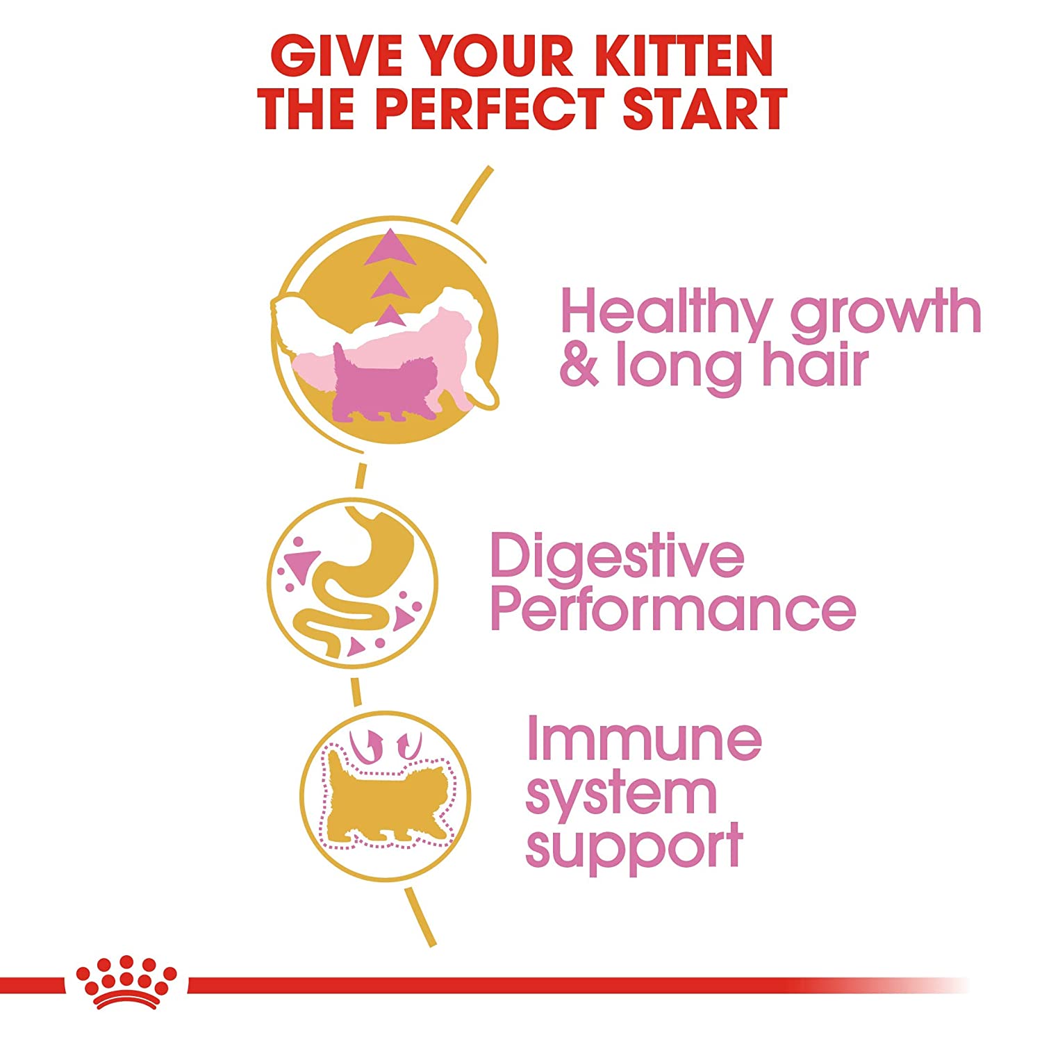 Royal-Canin-Persian-Kitten-Dry-Food-4.jpg